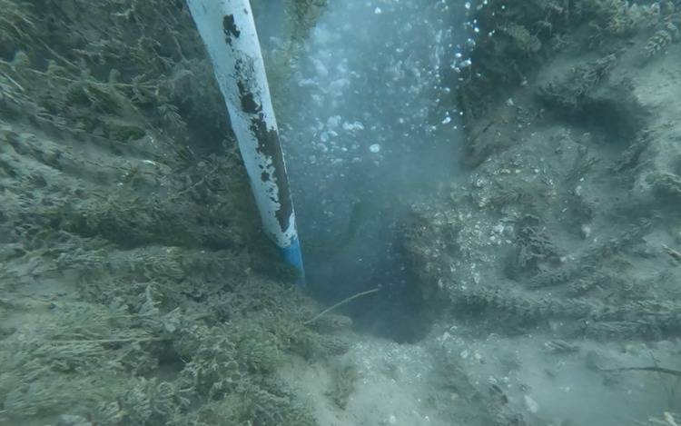 Sapanca Gölü’ndeki kabarcıklar panik yarattı: Depremin işareti mi? Uzmandan net açıklama 3